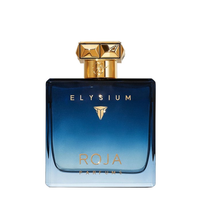 Roja Elysium Parfum Cologne 100 ml